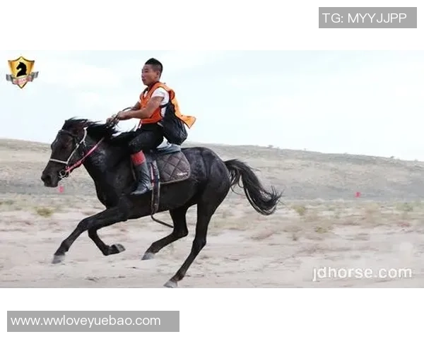 深圳篮球队展现顽强耐力在联赛中的精彩表现与未来展望