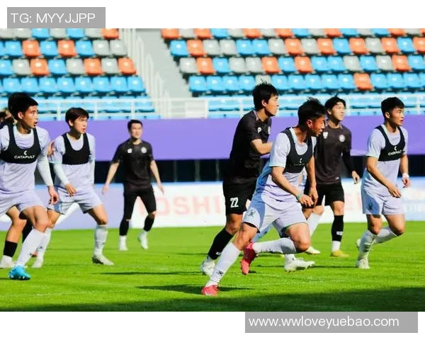 杭州足球队边路渗透战术分析及其在比赛中的成效与不足之处探讨