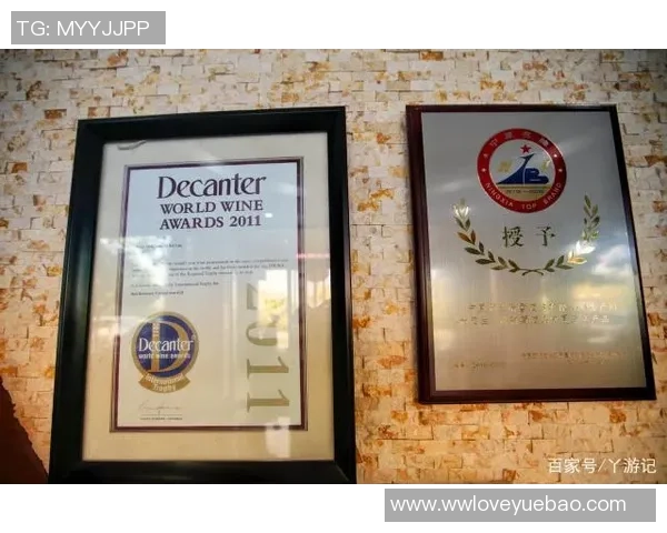 武汉飞盘队的逆袭之路：从默默无闻到全国瞩目的飞盘热潮解析